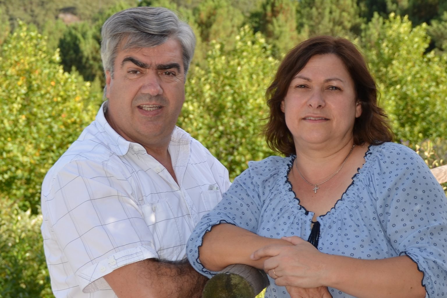 Toda a Família